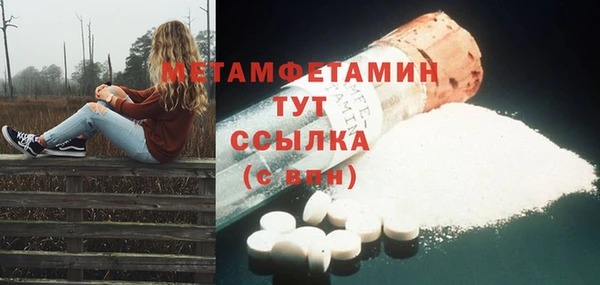 шишки Белокуриха