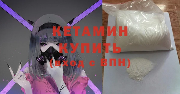 шишки Белокуриха