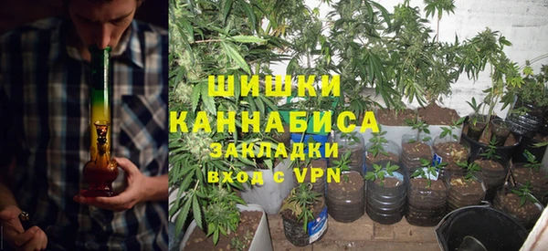 прущий лед Богданович