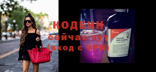 шишки Белокуриха