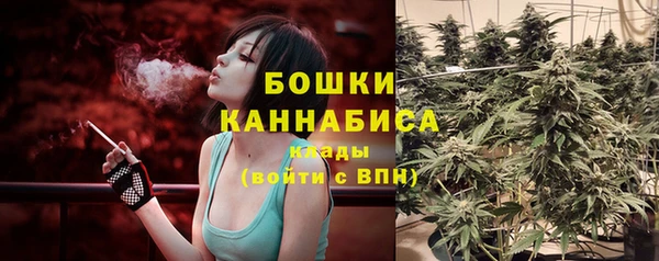 шишки Белокуриха