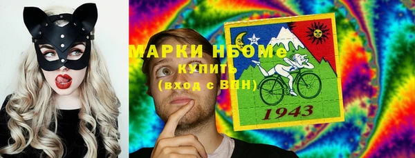 амф Богородицк