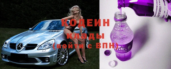 прущий лед Богданович